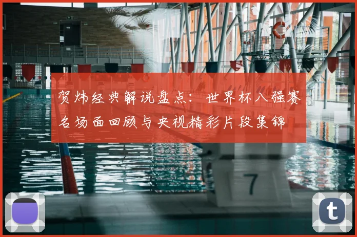 贺炜经典解说盘点：世界杯八强赛名场面回顾与央视精彩片段集锦